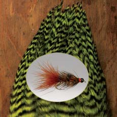 Перо петуха для вулли багера Orvis Whiting Wooly Bugger Pack