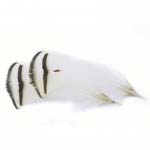 Фазана перья типпеты малые Veniard Amherst Pheasant Tippet feathers Natural