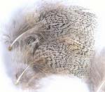 Перья куропатки Veniard Partridge English grey neck grey hackle 1 g