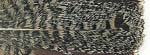 Хвост куропатки Veniard Partridge English grey Speckled centre tails Natural