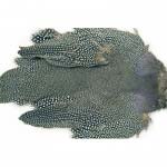 Цесарки скальп Veniard Guinea fowl Skin Patch Natural