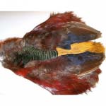 Шкура фазана целая Veniard Golden Pheasant body skin natural Washed Natural