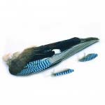 Крылья голубой сойки Veniard Jay whole wings Natural