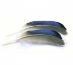 Перья с крыла селезня Veniard Mallard Duck wing quills blue/white tip Natural