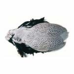 Шкурка серебристого фазана Veniard Silver Pheasant body skin без хвоста 2 класс