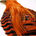 Перья крашеные из загривка золотого фазана Veniard Golden Pheasant complete head №1