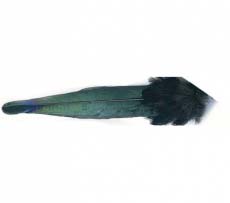 Хвост сороки Veniard Magpie whole tail Natural